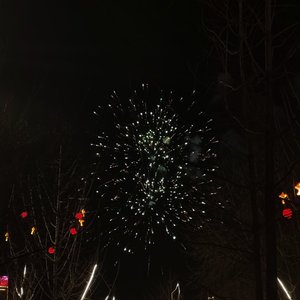 新年第一首限定曲