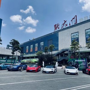 我希望是一万年