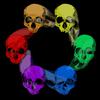 Monkey - Circle of Skulls