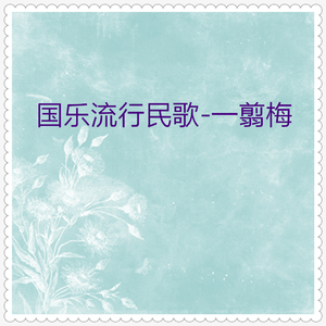 渴望 (二胡独奏)