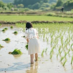 没有故意不回消息我还在种地