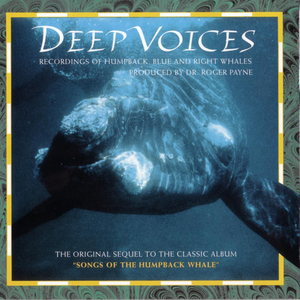 Deep Voices