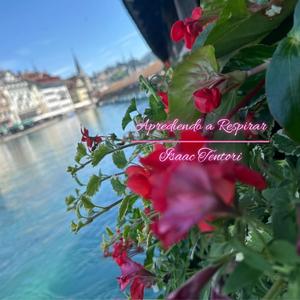 Aprendiendo a Respirar