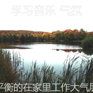 抚慰的浓度回忆