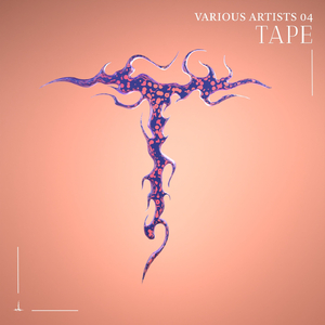 Everybody In The House