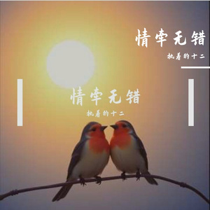 情牵无错
