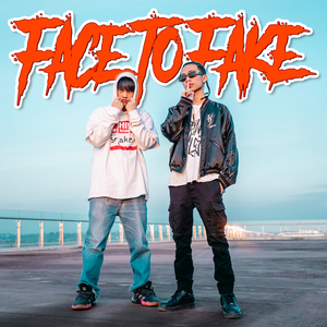 Face to Fake