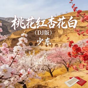 桃花红杏花白（DJ版）伴奏