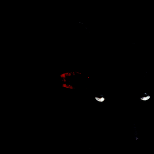 FREEDOM BACK (Instrumental)