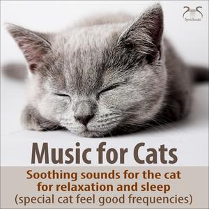 Rock a Bye Kidden: Dreamlike Sleep Melody for the Cat - Feel Good Frequencies for the Cat - with a Slight Purr