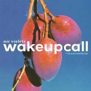 wakeupcall