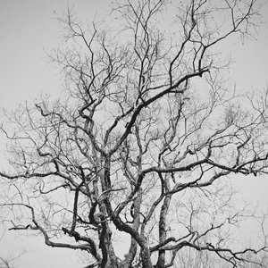 Silent Storm