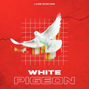 White Pigeon