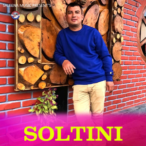 Soltini