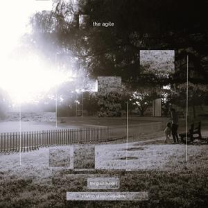 balad and survivor blues