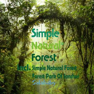 Simple Natural Forest(Original Mix)
