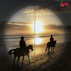 心有猛虎 细嗅蔷薇