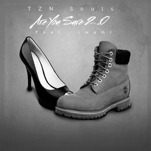 Are You Sure 2.0 (feat. Lwami)