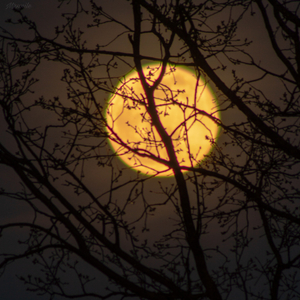 Mi corazón estalla por tu amor (Remix)