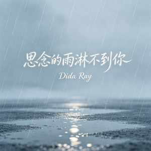 思念的雨淋不到你