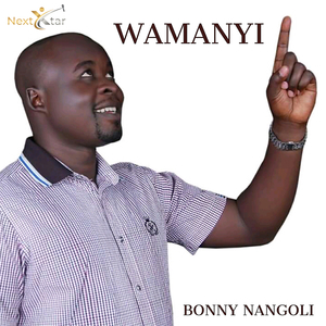 Wamanyi