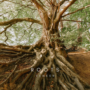 Roots