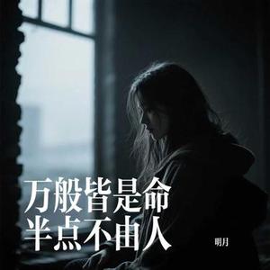万般皆是命半点不由人