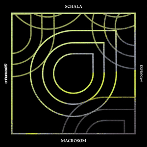 Macrosom (Extended Mix)