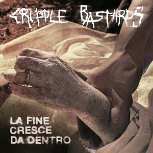 Crimine contro I'immagine