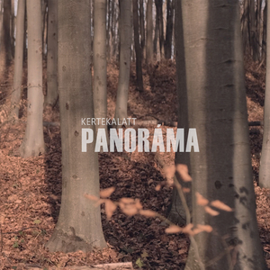 Panoráma