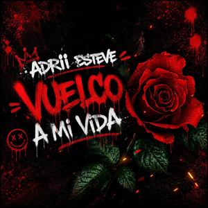 VUELCO A MI VIDA