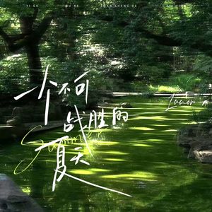 一个不可战胜的夏天