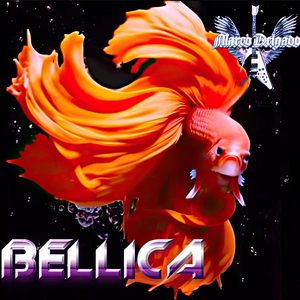 Bellica