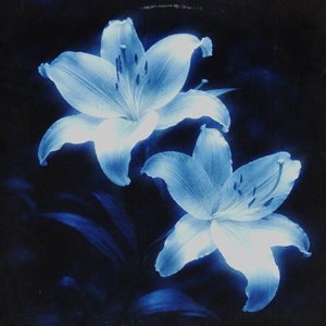 a urgência e o vício