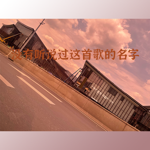 没有听说过这首歌的名字