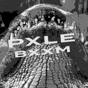 BXXM