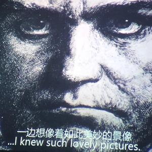 屹立的花