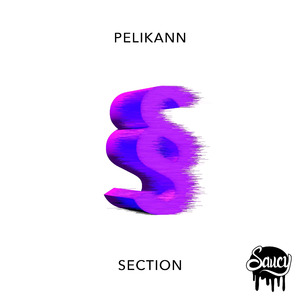 Section (Original Mix)