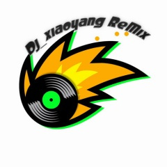 那个伤害你的人 (DJ小杨)