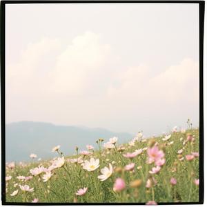 Жити, Любити