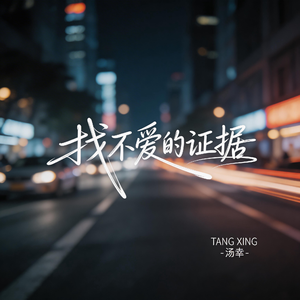 找不爱的证据（抒情版）