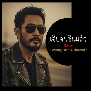 เจ็บจนชินแล้ว (Live)