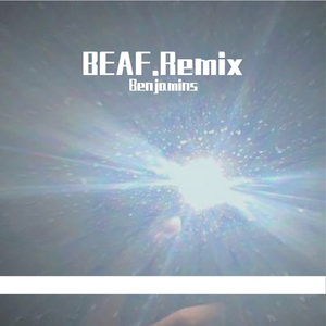 DamnVirus-BEAF-Feat.Benjamins_缩混（Benjamins / DamnVirus remix）