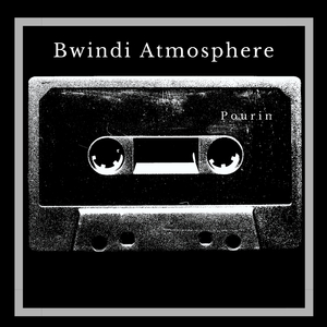 Bwindi Atmosphere