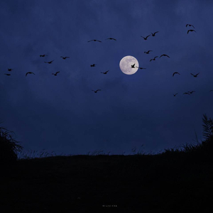夜空 思绪 与你