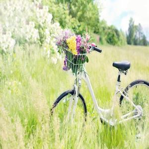 대자연의 멜로디 (명상)