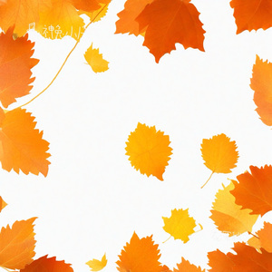 在深秋（神兔小 P Remix）