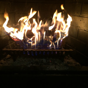 Lies Rise, Trust Drowns, Love Leaves