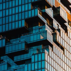 静候树绽繁花之时