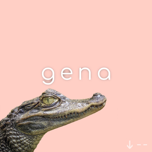 Gena